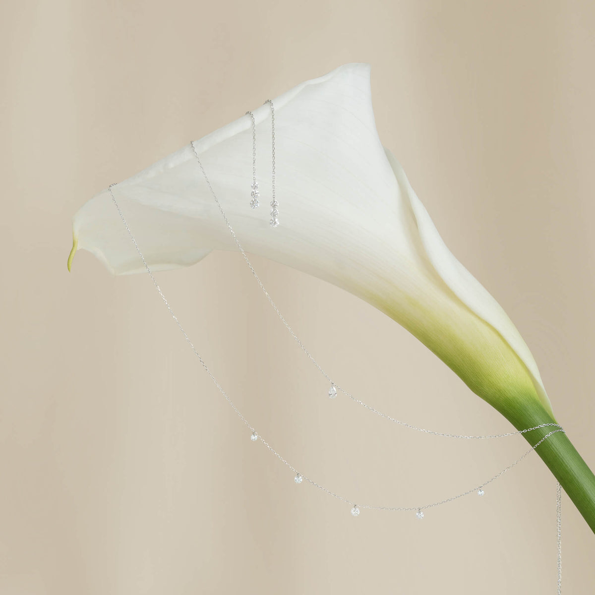 Delicate White Gold necklaces with small gems draped over a white calla lily, against a soft beige background. The scene is elegant and serene.