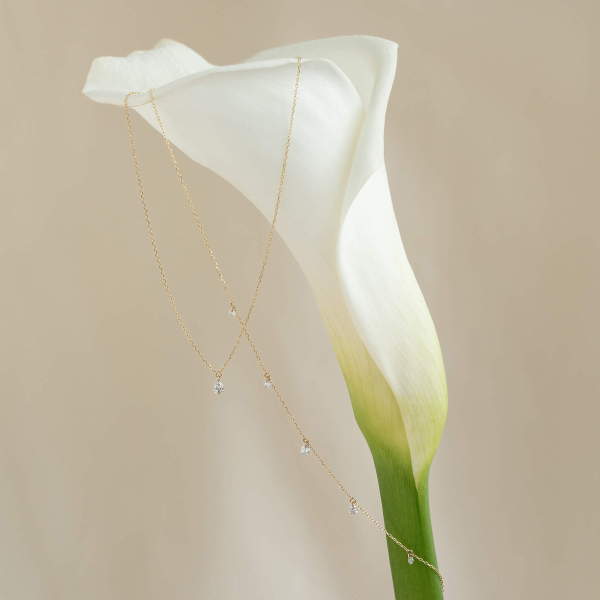 Delicate Gold necklace draped over a white calla lily against a soft beige background, conveying elegance and simplicity.